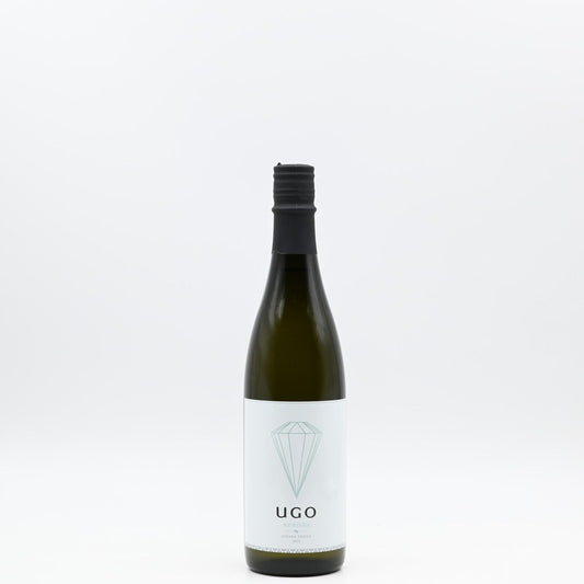 AIHARA UGO AURORA